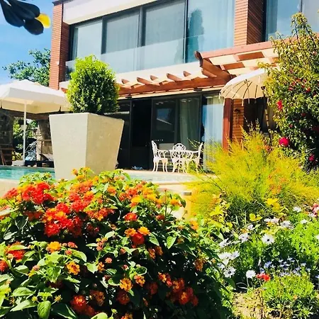 Bed & Breakfast No 5 4*