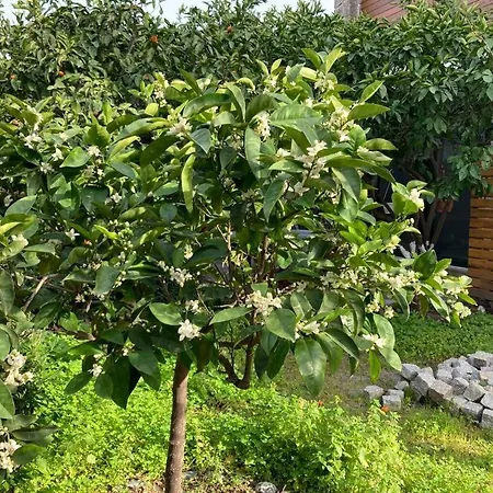 No 5 Nocleg ze śniadaniem