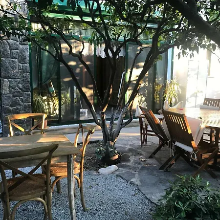 No 5 Αλικαρνασσός